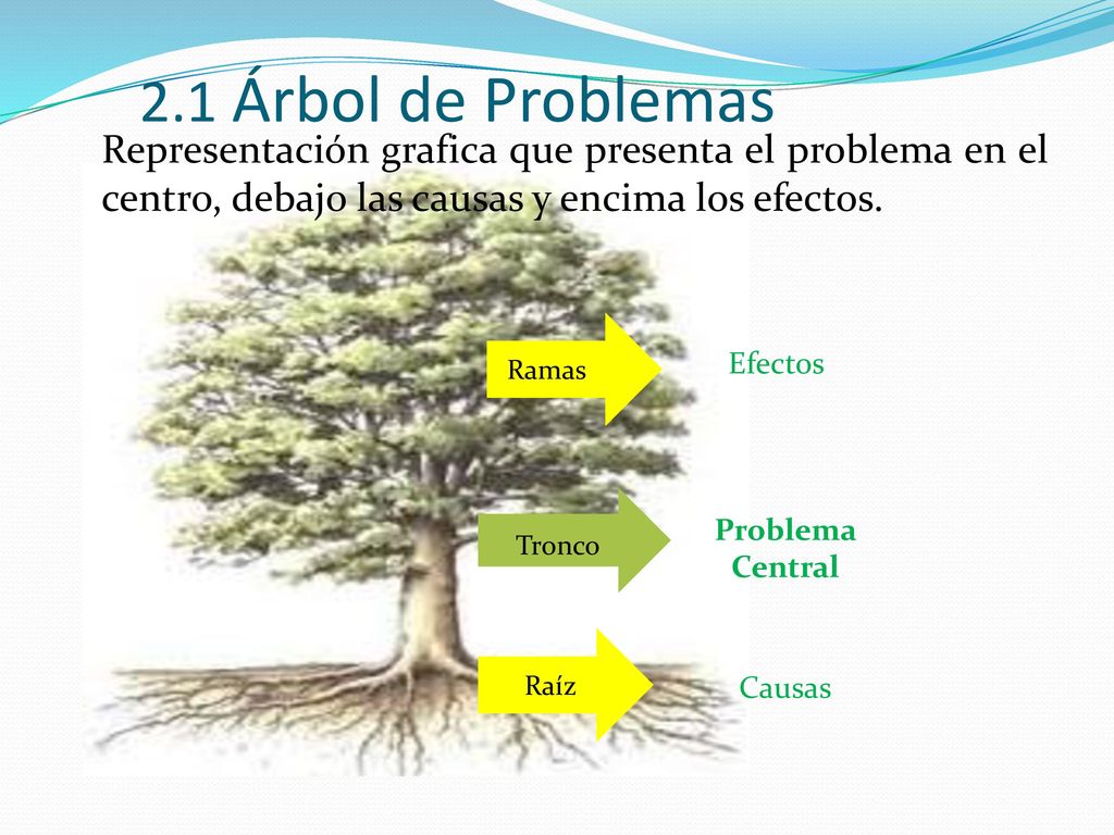 2.1 Árbol de Problemas Representación grafica que presenta el problema en el centro, debajo las causas y encima los efectos.