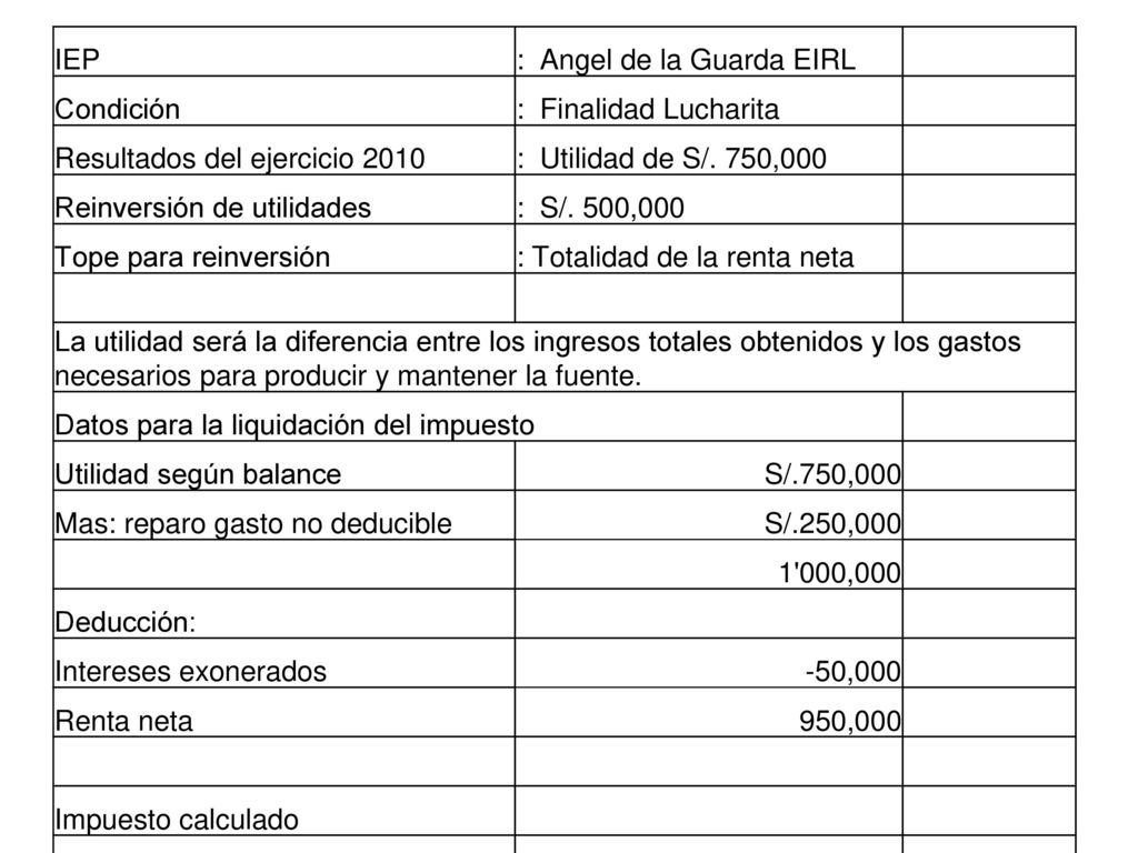 IEP : Angel de la Guarda EIRL. Condición. : Finalidad Lucharita. Resultados del ejercicio