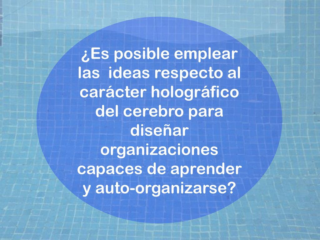 ¿Es posible emplear las ideas respecto al carácter holográfico del cerebro para diseñar organizaciones capaces de aprender y auto-organizarse