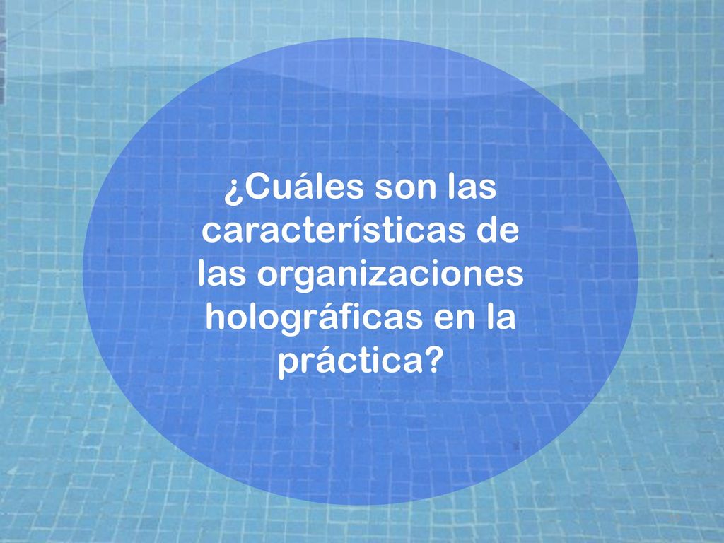 ¿Cuáles son las características de las organizaciones holográficas en la práctica