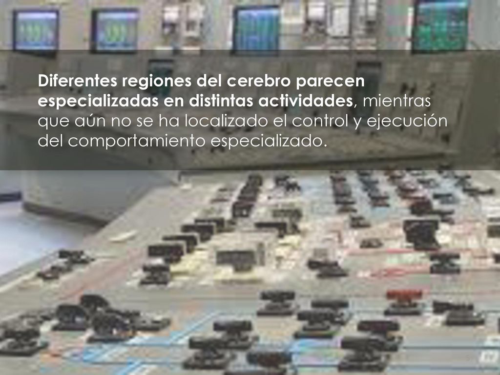 Diferentes regiones del cerebro parecen especializadas en distintas actividades, mientras que aún no se ha localizado el control y ejecución del comportamiento especializado.