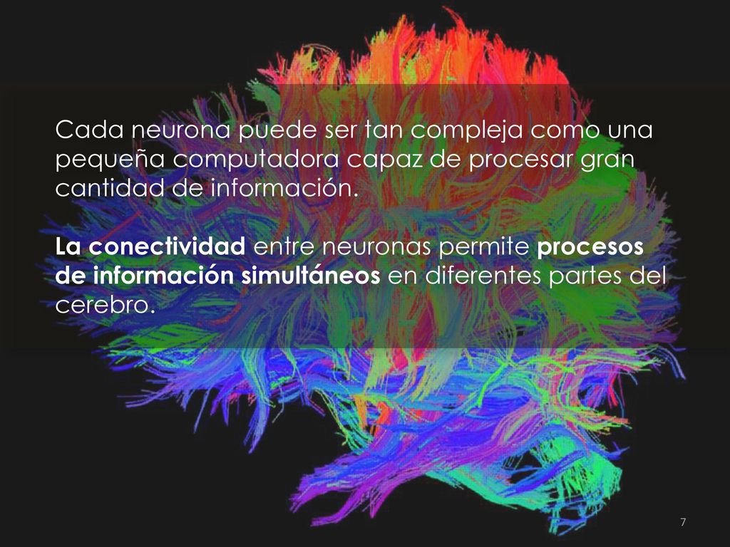 Cada neurona puede ser tan compleja como una pequeña computadora capaz de procesar gran cantidad de información.