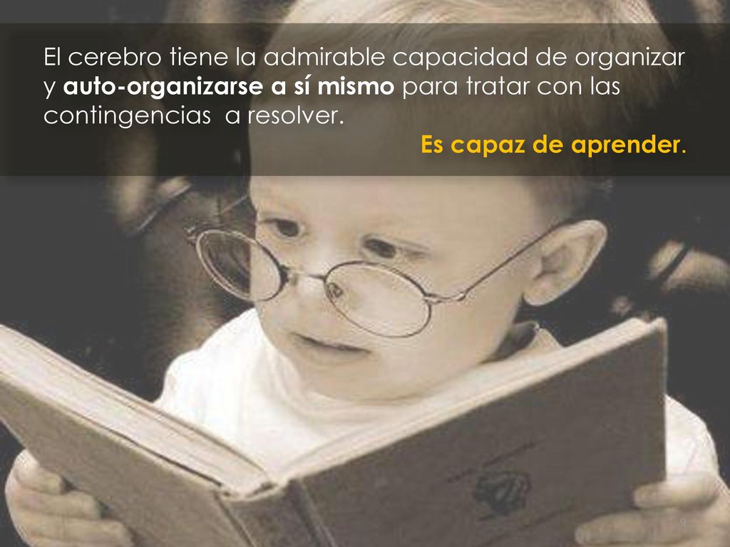 El cerebro tiene la admirable capacidad de organizar y auto-organizarse a sí mismo para tratar con las contingencias a resolver.