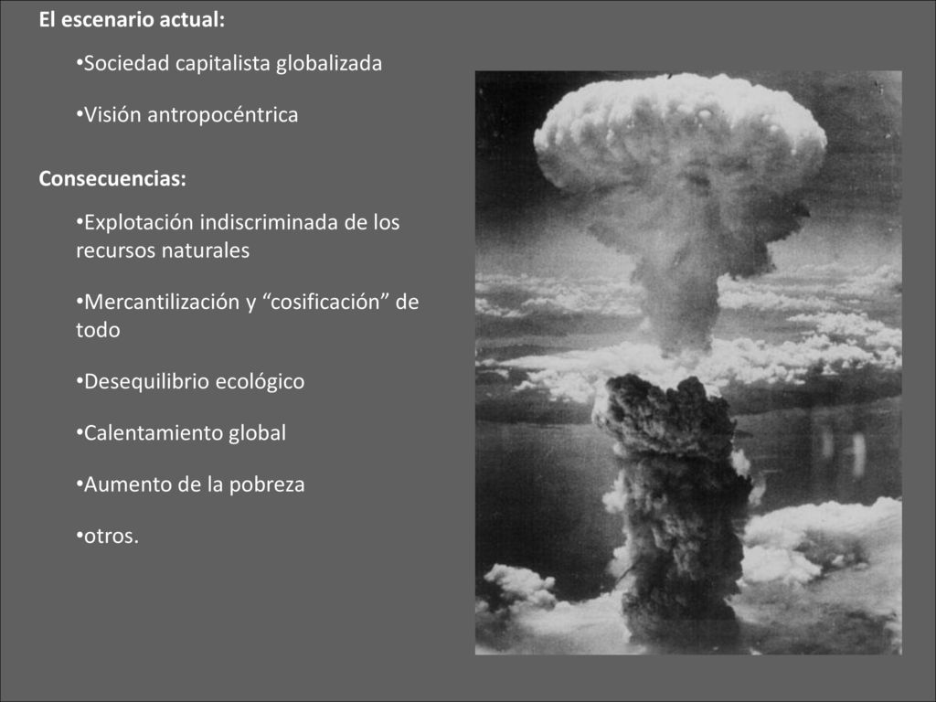 El escenario actual: Sociedad capitalista globalizada. Visión antropocéntrica. Consecuencias: