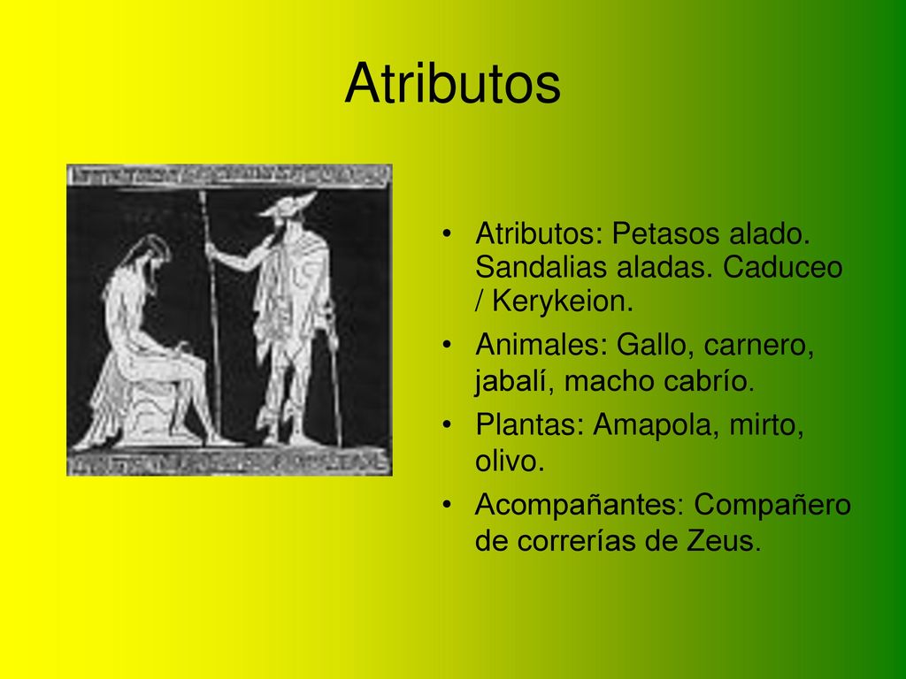 Atributos Atributos: Petasos alado. Sandalias aladas. Caduceo / Kerykeion. Animales: Gallo, carnero, jabalí, macho cabrío.