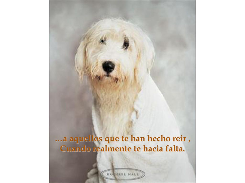 …a aquellos que te han hecho reir , Cuando realmente te hacia falta.