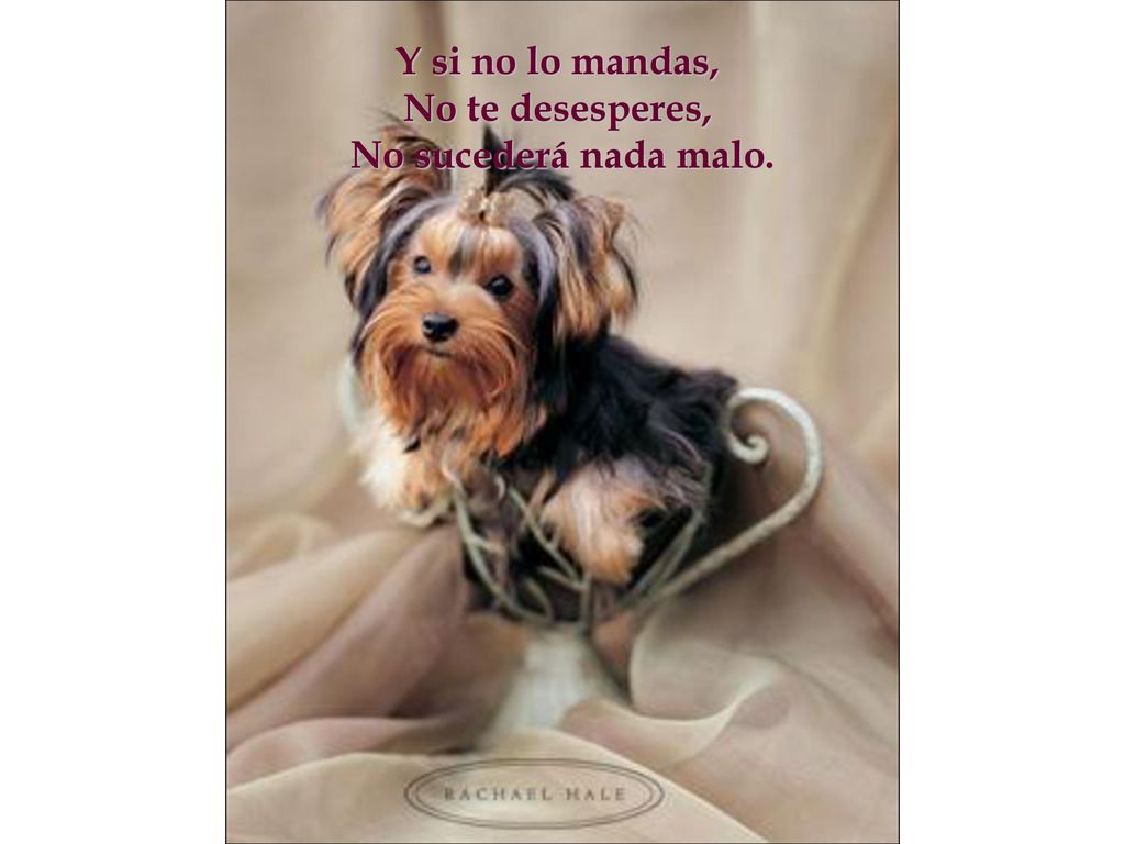 Y si no lo mandas, No te desesperes, No sucederá nada malo.