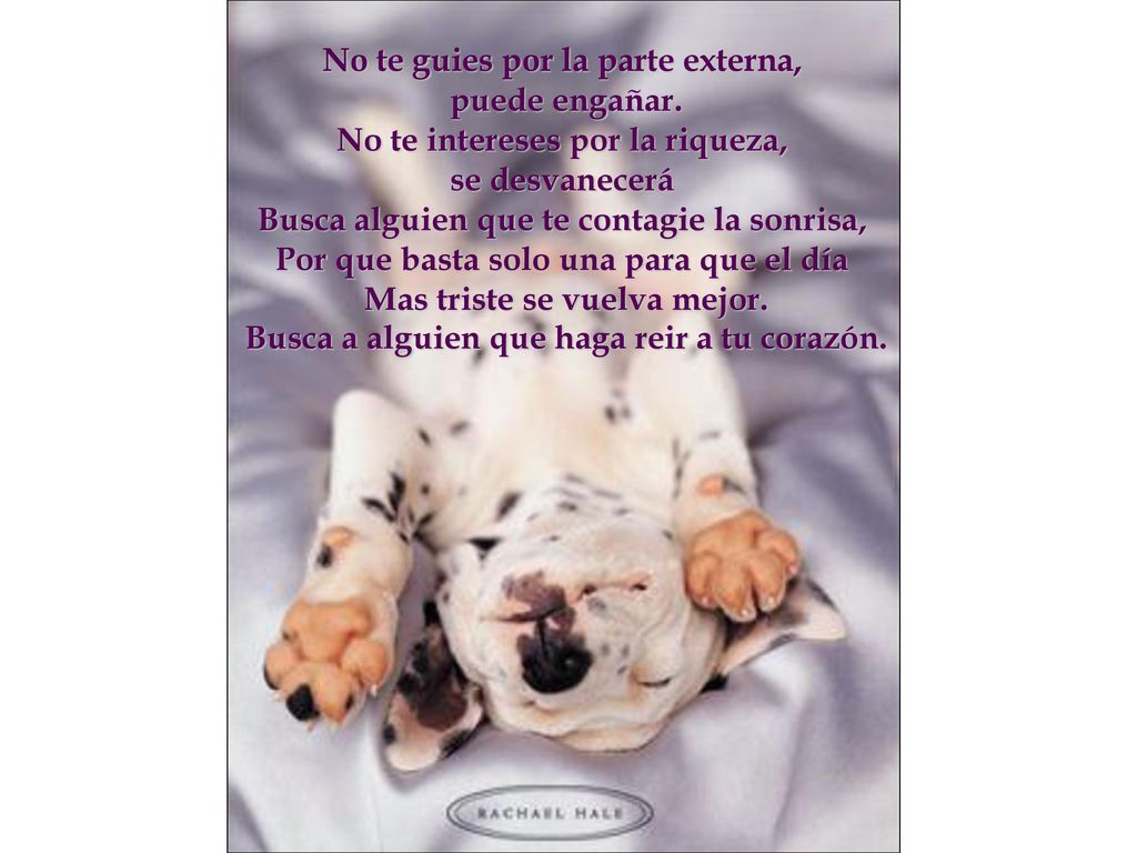 No te guies por la parte externa, puede engañar.