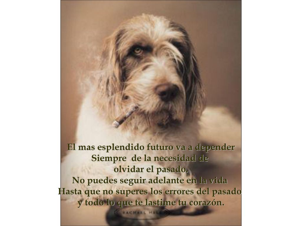 El mas esplendido futuro va a depender Siempre de la necesidad de