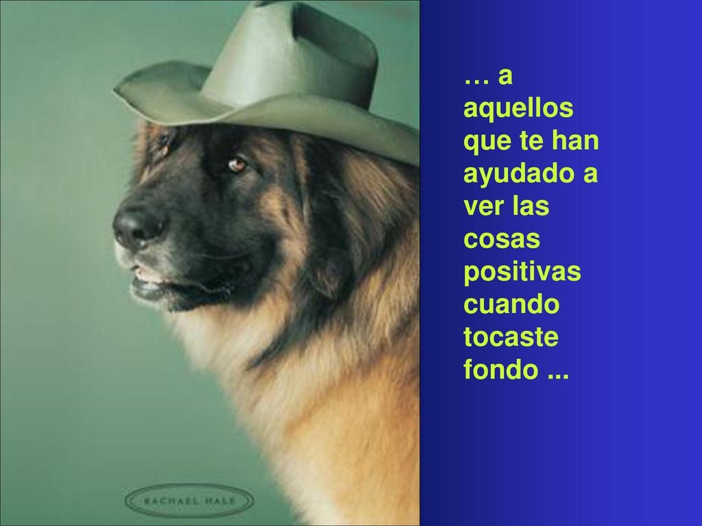 … a aquellos que te han ayudado a ver las cosas positivas