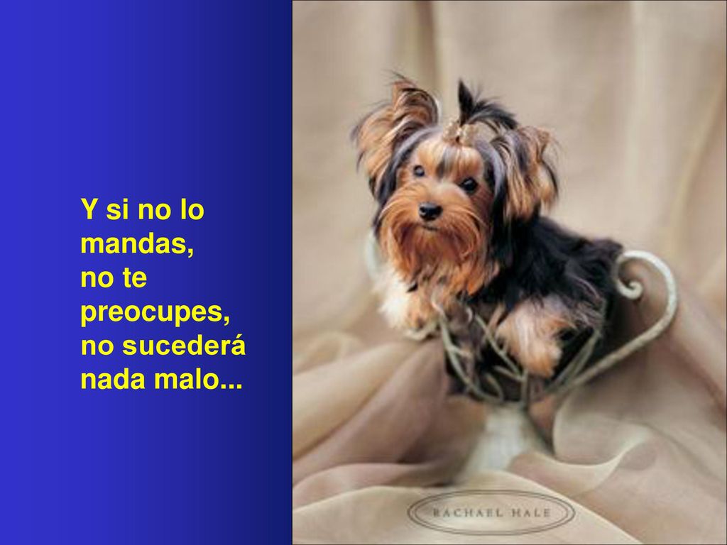 Y si no lo mandas, no te preocupes, no sucederá nada malo...