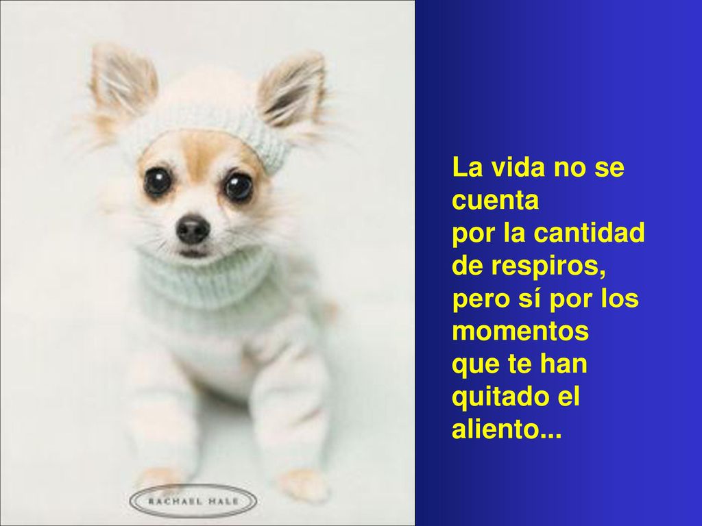La vida no se cuenta por la cantidad de respiros, pero sí por los momentos.