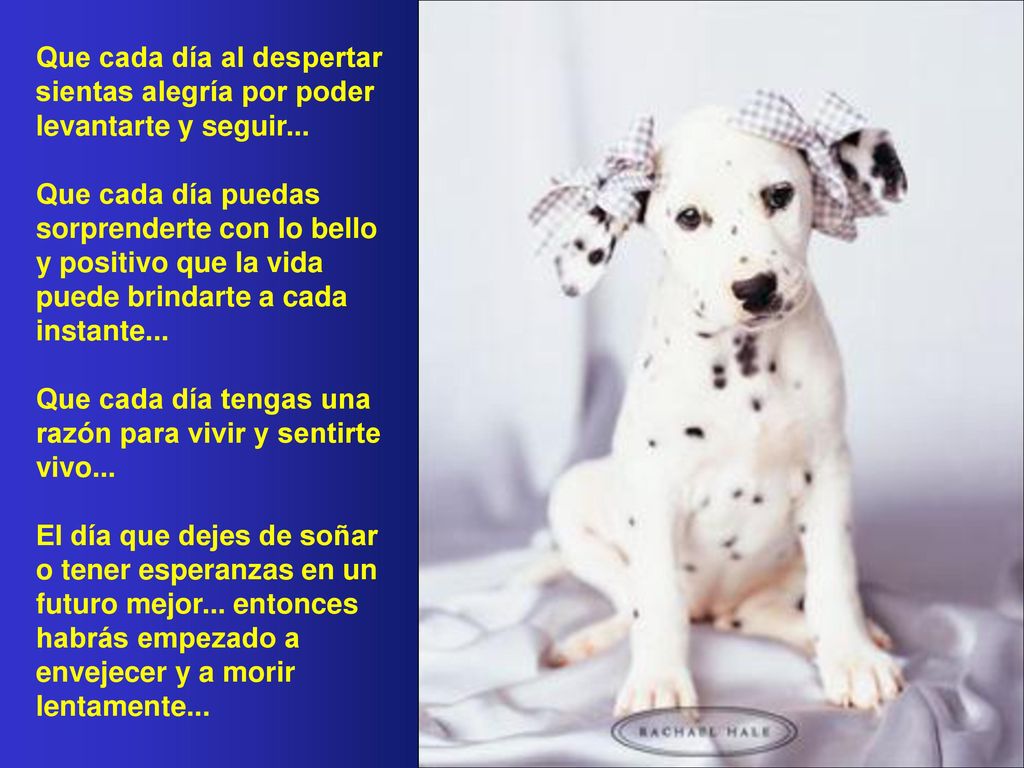 Que cada día al despertar sientas alegría por poder levantarte y seguir...