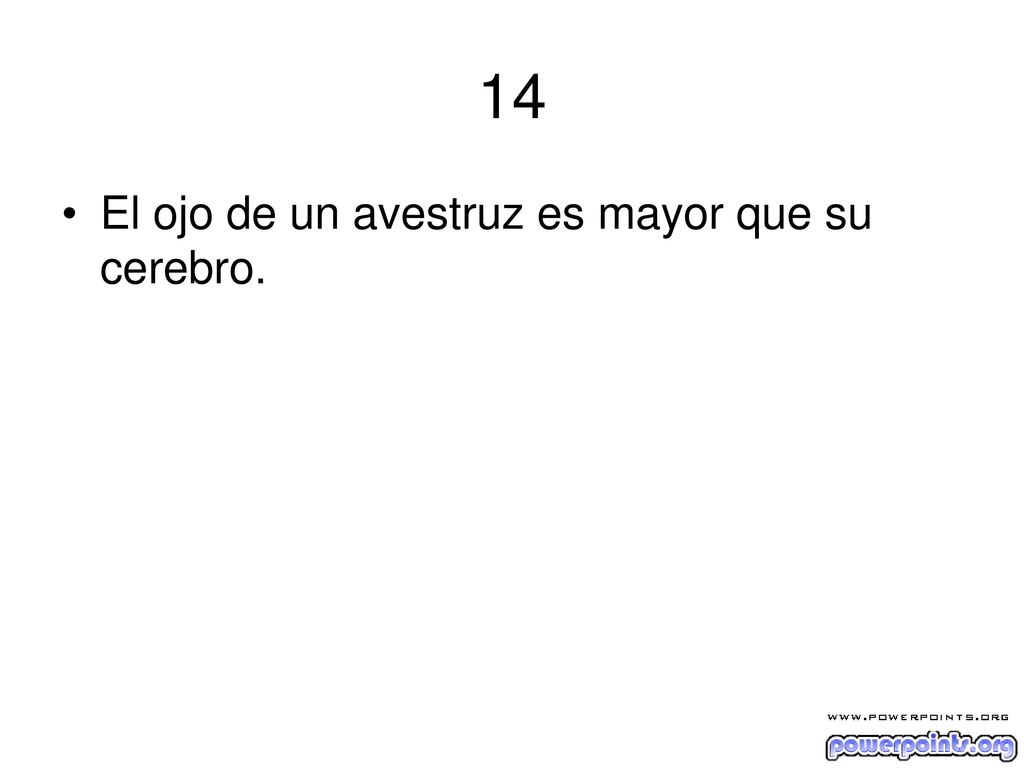 14 El ojo de un avestruz es mayor que su cerebro.