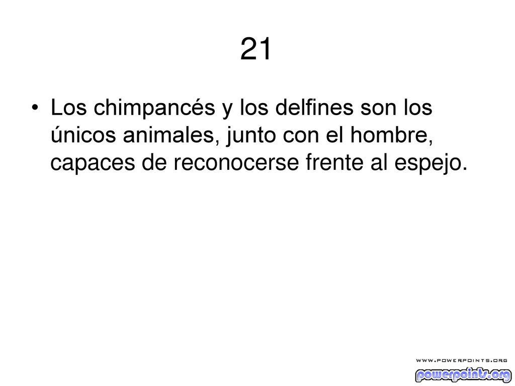 21 Los chimpancés y los delfines son los únicos animales, junto con el hombre, capaces de reconocerse frente al espejo.