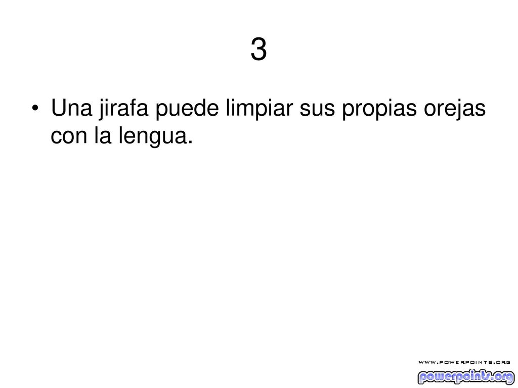 3 Una jirafa puede limpiar sus propias orejas con la lengua.