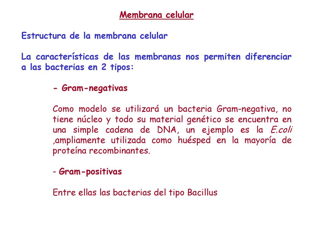 Membrana celular Estructura de la membrana celular. La características de las membranas nos permiten diferenciar a las bacterias en 2 tipos:
