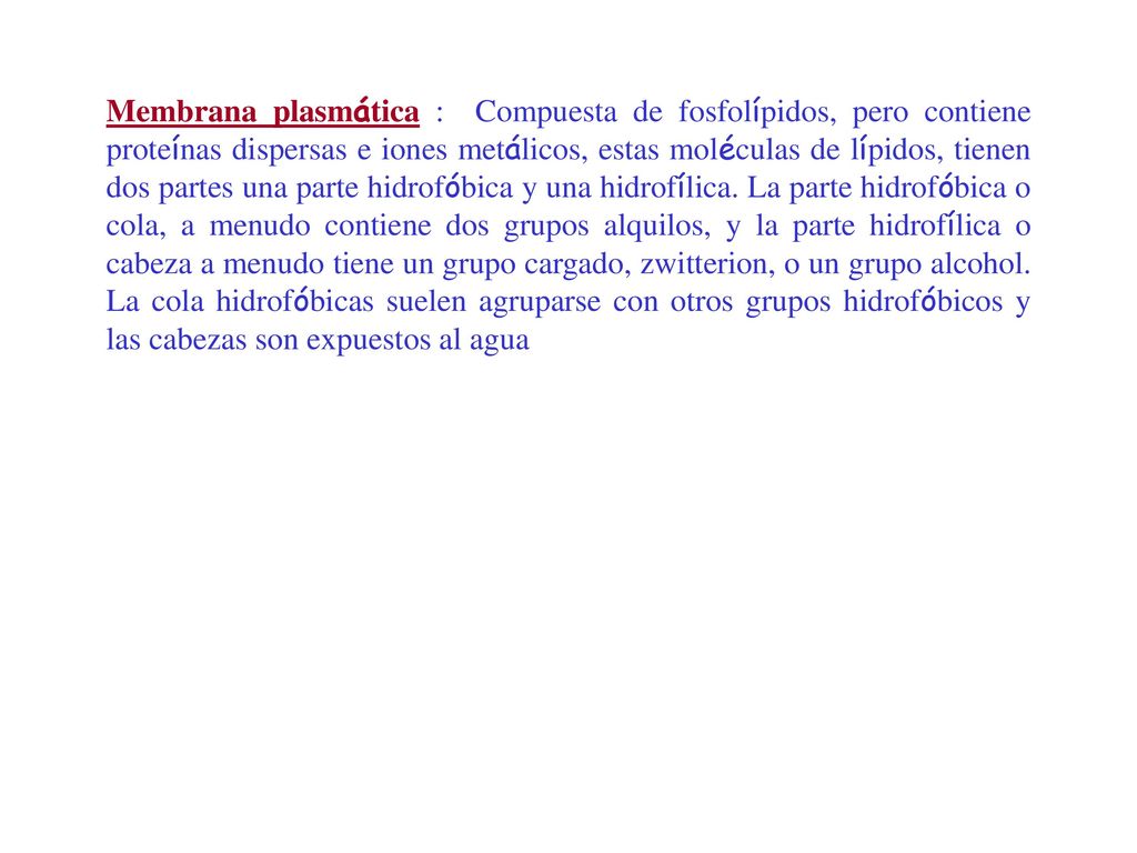 Membrana plasmática : Compuesta de fosfolípidos, pero contiene proteínas dispersas e iones metálicos, estas moléculas de lípidos, tienen dos partes una parte hidrofóbica y una hidrofílica.
