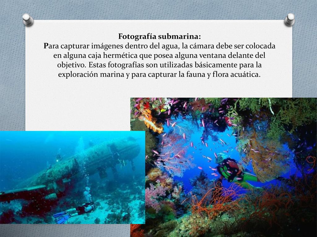 Fotografía submarina: Para capturar imágenes dentro del agua, la cámara debe ser colocada en alguna caja hermética que posea alguna ventana delante del objetivo.