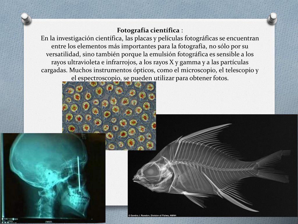 Fotografía científica : En la investigación científica, las placas y películas fotográficas se encuentran entre los elementos más importantes para la fotografía, no sólo por su versatilidad, sino también porque la emulsión fotográfica es sensible a los rayos ultravioleta e infrarrojos, a los rayos X y gamma y a las partículas cargadas.