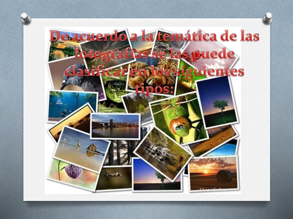 De acuerdo a la temática de las fotografías se las puede clasificar en los siguientes tipos: