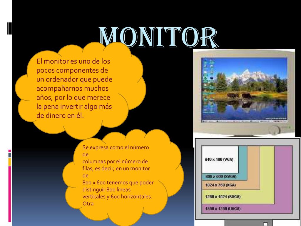 MONITOR El monitor es uno de los pocos componentes de un ordenador que puede. acompañarnos muchos años, por lo que merece la pena invertir algo más.