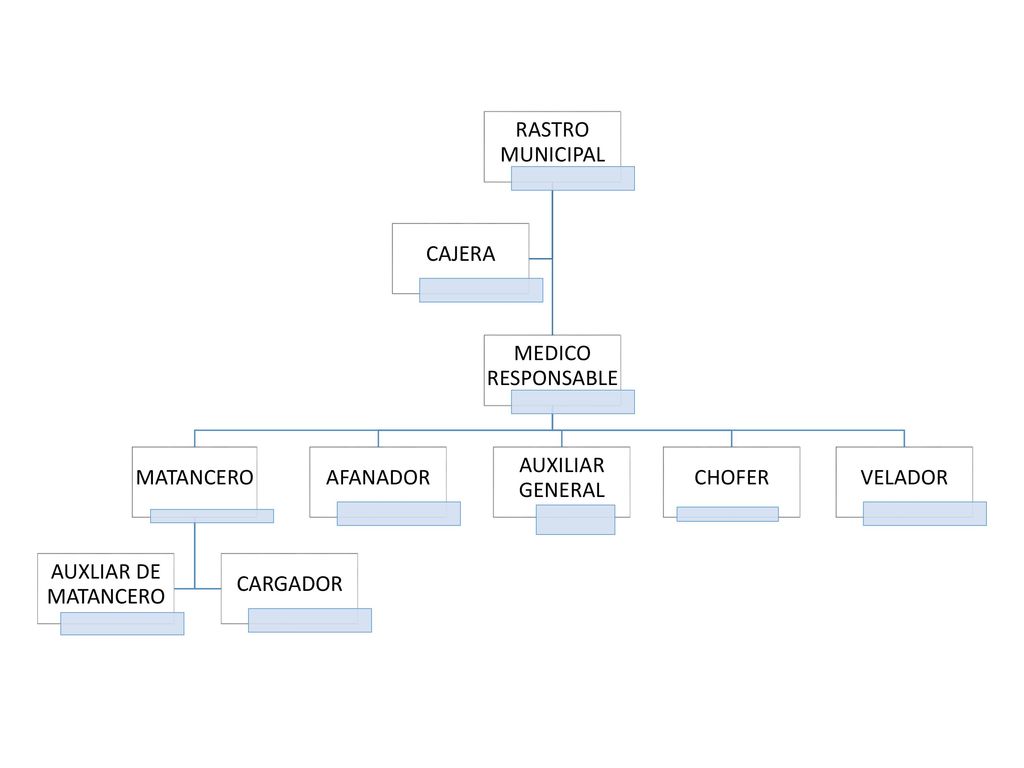 RASTRO MUNICIPAL MEDICO RESPONSABLE. MATANCERO. AUXLIAR DE MATANCERO. CARGADOR. AFANADOR. AUXILIAR GENERAL.