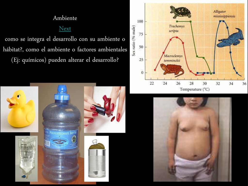 Ambiente Next como se integra el desarrollo con su ambiente o hábitat