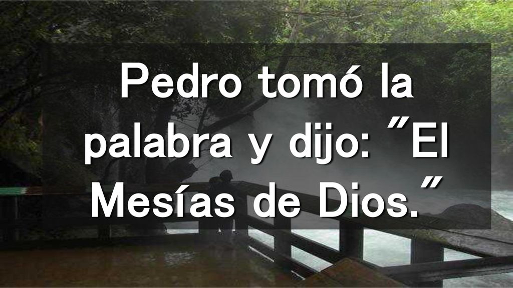 Pedro tomó la palabra y dijo: El Mesías de Dios.