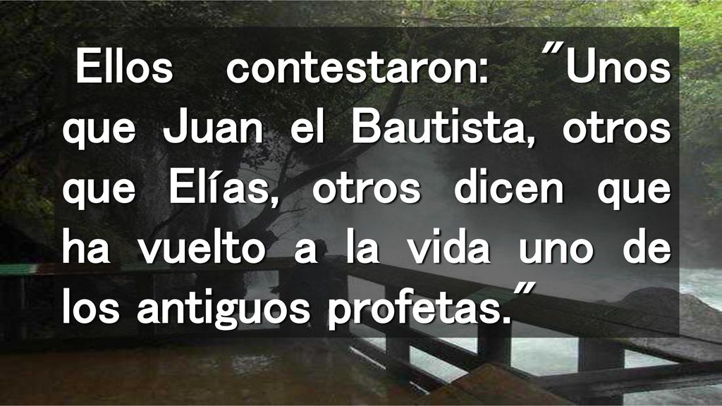 Ellos contestaron: Unos que Juan el Bautista, otros que Elías, otros dicen que ha vuelto a la vida uno de los antiguos profetas.