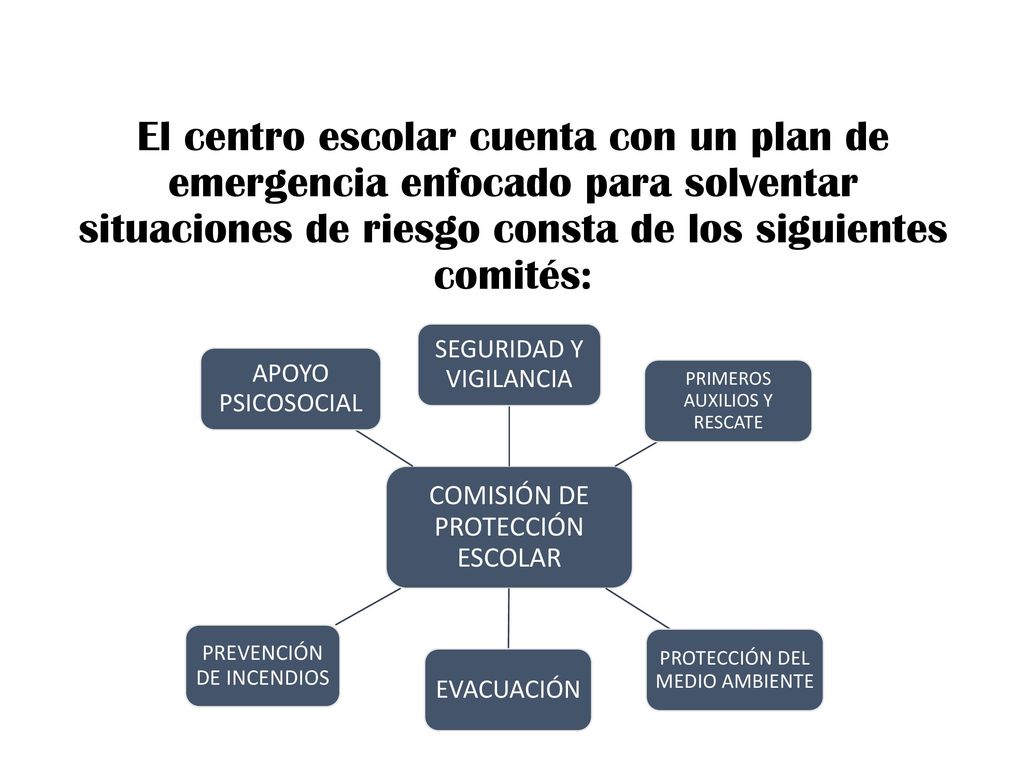 El centro escolar cuenta con un plan de emergencia enfocado para solventar situaciones de riesgo consta de los siguientes comités: