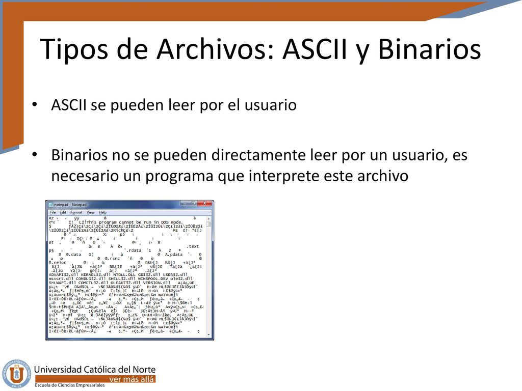 Tipos de Archivos: ASCII y Binarios