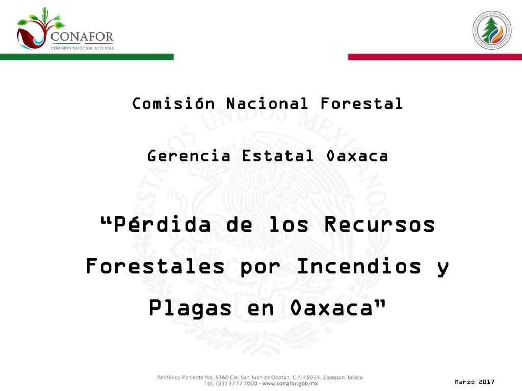 Pérdida de los Recursos Forestales por Incendios y Plagas en Oaxaca
