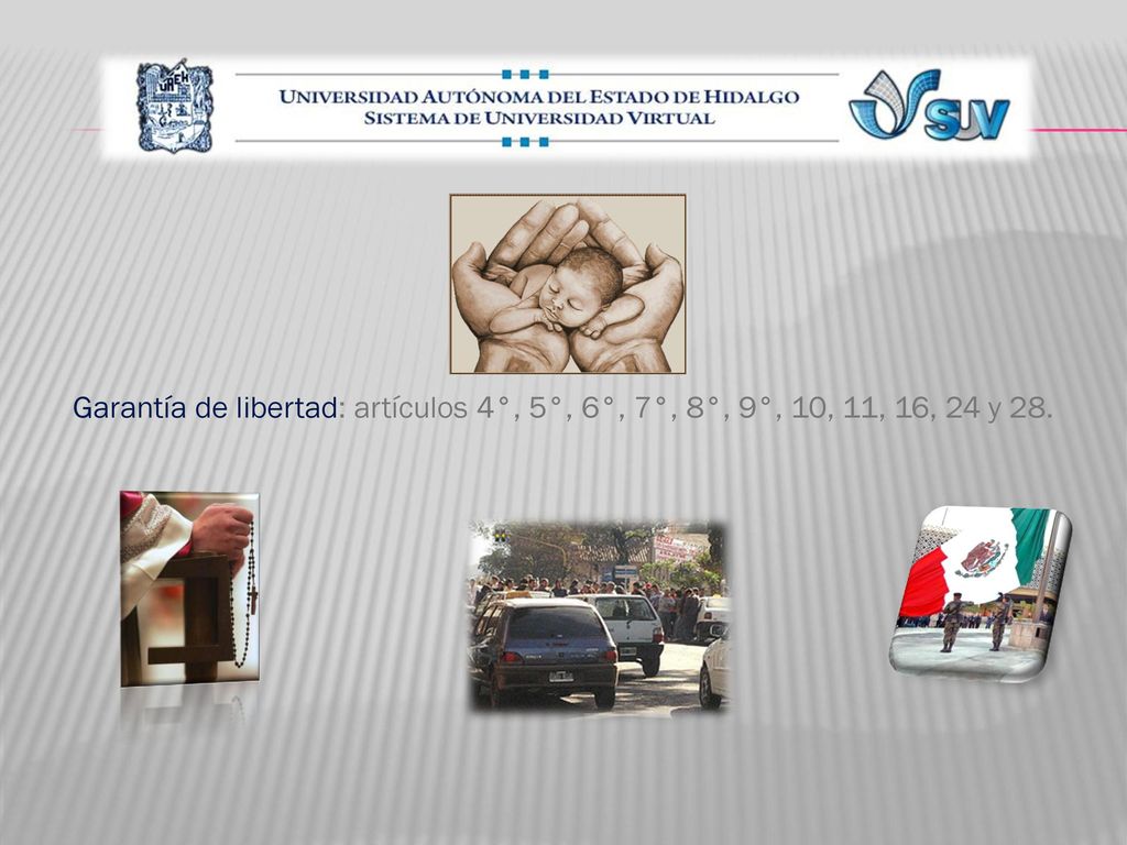 Garantía de libertad: artículos 4°, 5°, 6°, 7°, 8°, 9°, 10, 11, 16, 24 y 28.