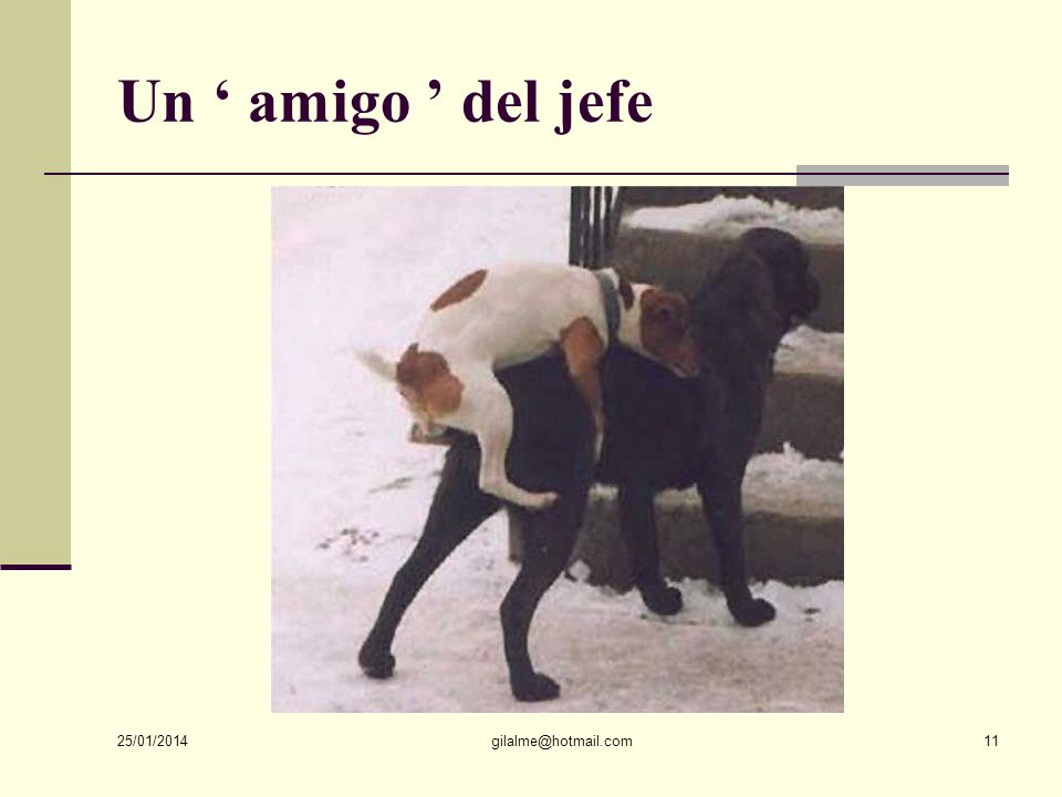 Un ‘ amigo ’ del jefe Ah, les hommes! 24/03/2017