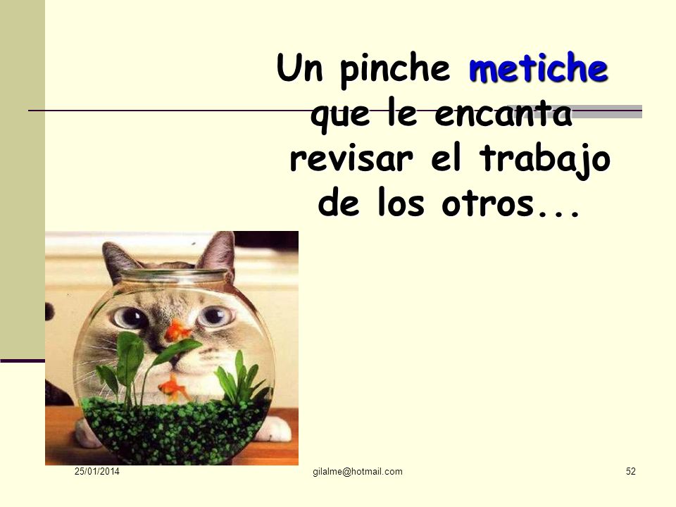 Un pinche metiche que le encanta revisar el trabajo de los otros...