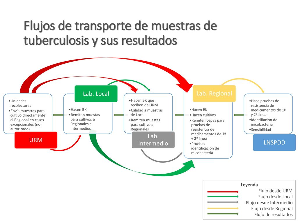 Flujos de transporte de muestras de tuberculosis y sus resultados