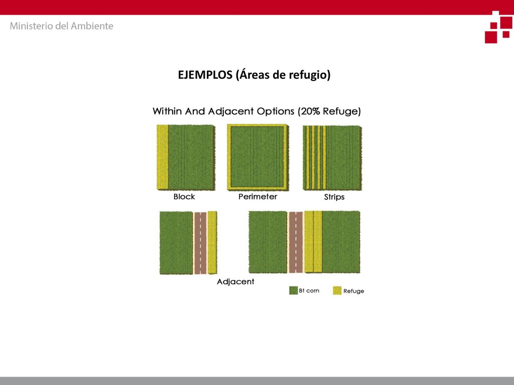 REQUERIMIENTOS Y CAPACIDADES PARA LA GESTIÓN DE RIESGOS DE OVM