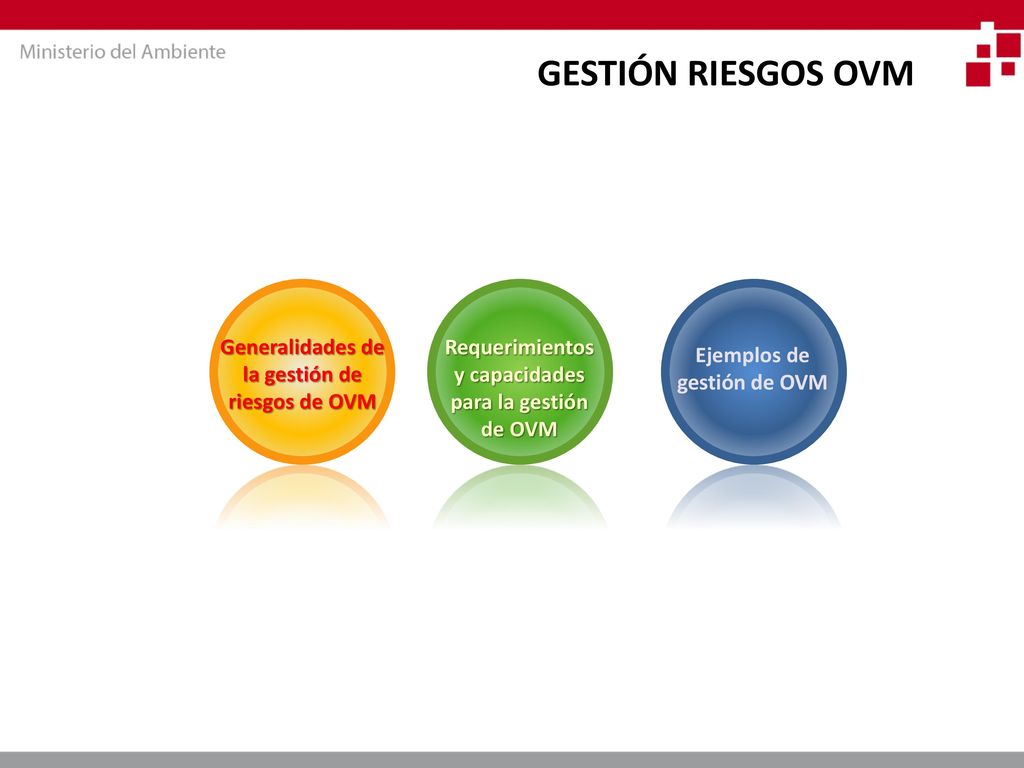 GESTIÓN RIESGOS OVM Generalidades de la gestión de riesgos de OVM