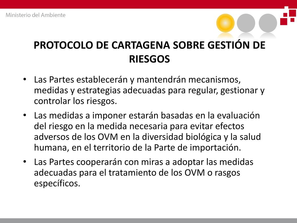 PROTOCOLO DE CARTAGENA SOBRE GESTIÓN DE RIESGOS