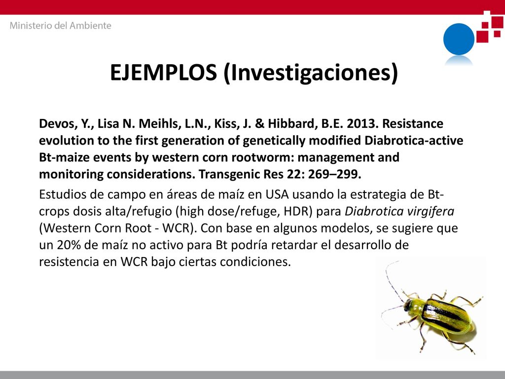 REQUERIMIENTOS Y CAPACIDADES PARA LA GESTIÓN DE RIESGOS DE OVM