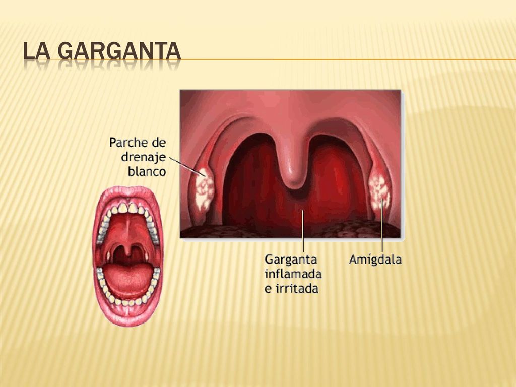 La garganta