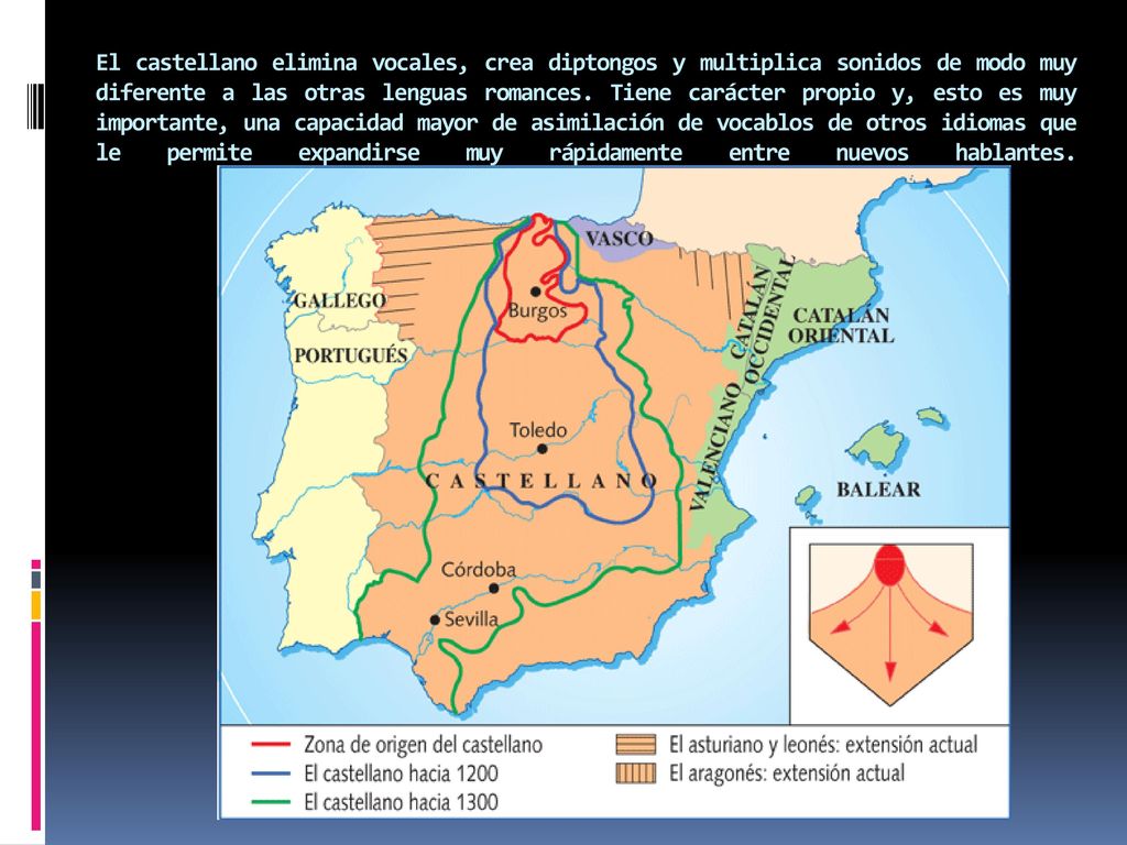El castellano elimina vocales, crea diptongos y multiplica sonidos de modo muy diferente a las otras lenguas romances.