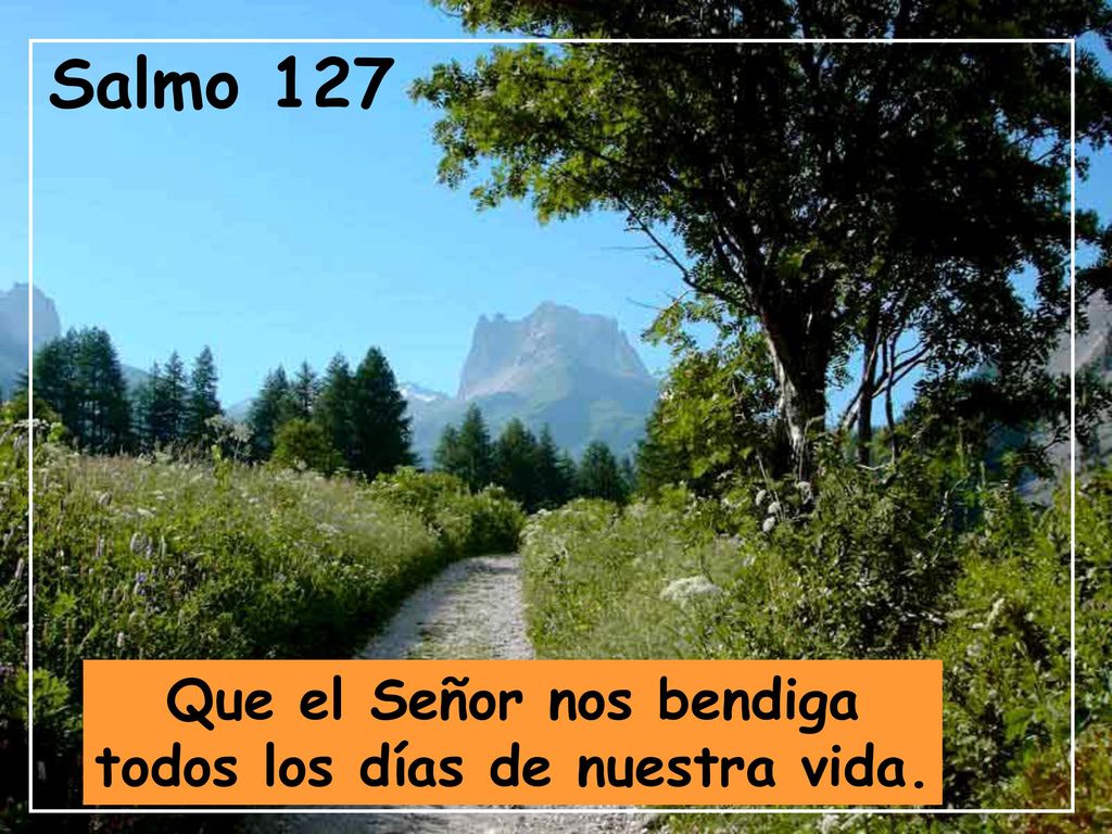 Que el Señor nos bendiga todos los días de nuestra vida.