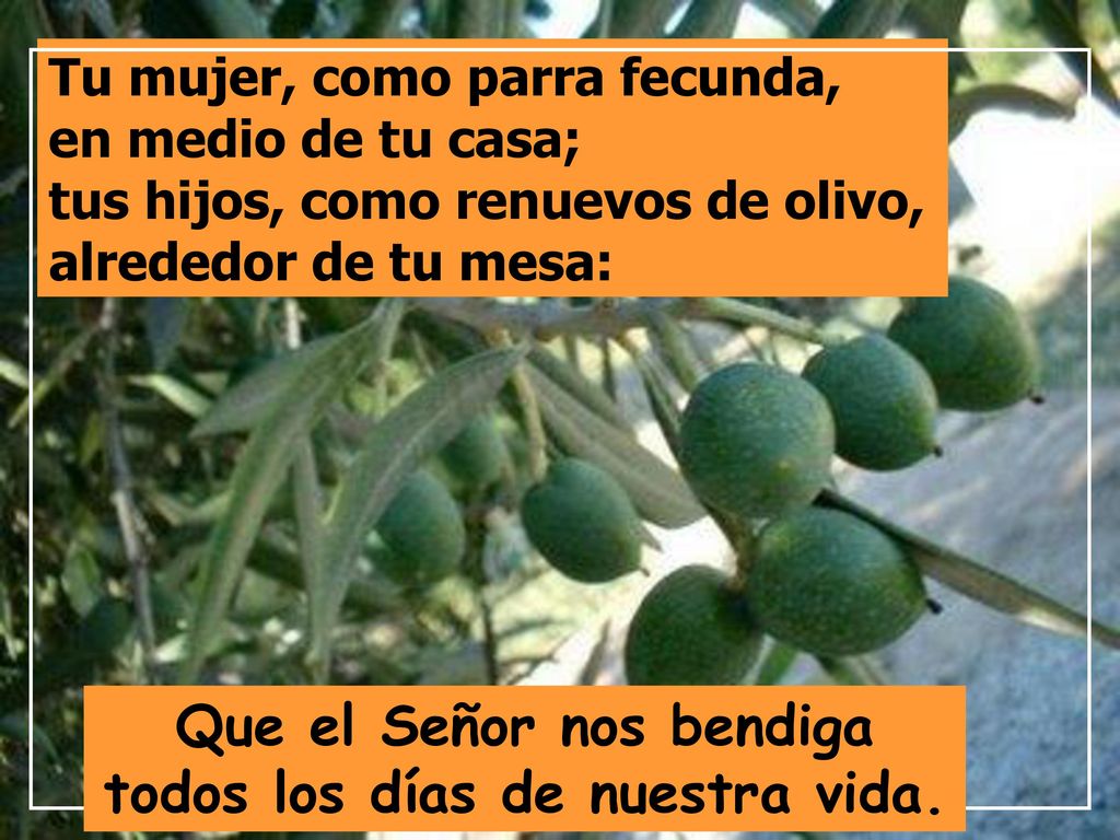 Que el Señor nos bendiga todos los días de nuestra vida.