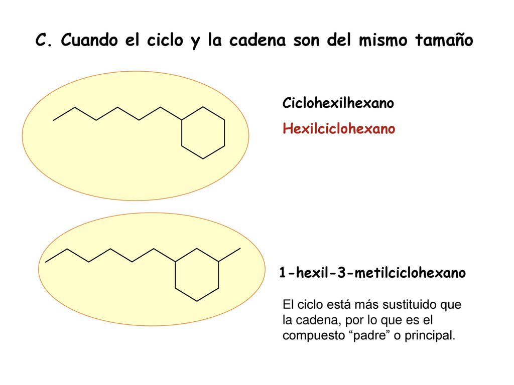 C. Cuando el ciclo y la cadena son del mismo tamaño