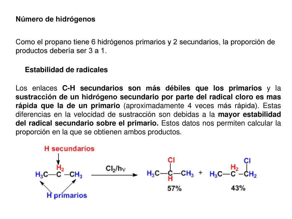 Número de hidrógenos Como el propano tiene 6 hidrógenos primarios y 2 secundarios, la proporción de productos debería ser 3 a 1.