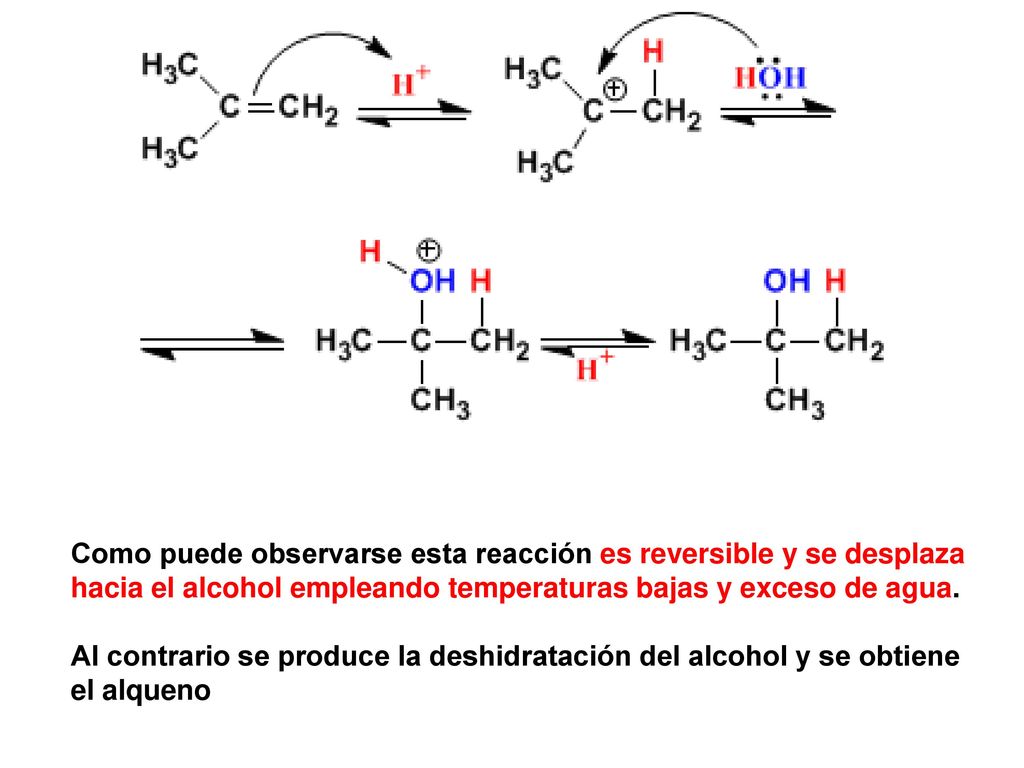 Como puede observarse esta reacción es reversible y se desplaza hacia el alcohol empleando temperaturas bajas y exceso de agua.