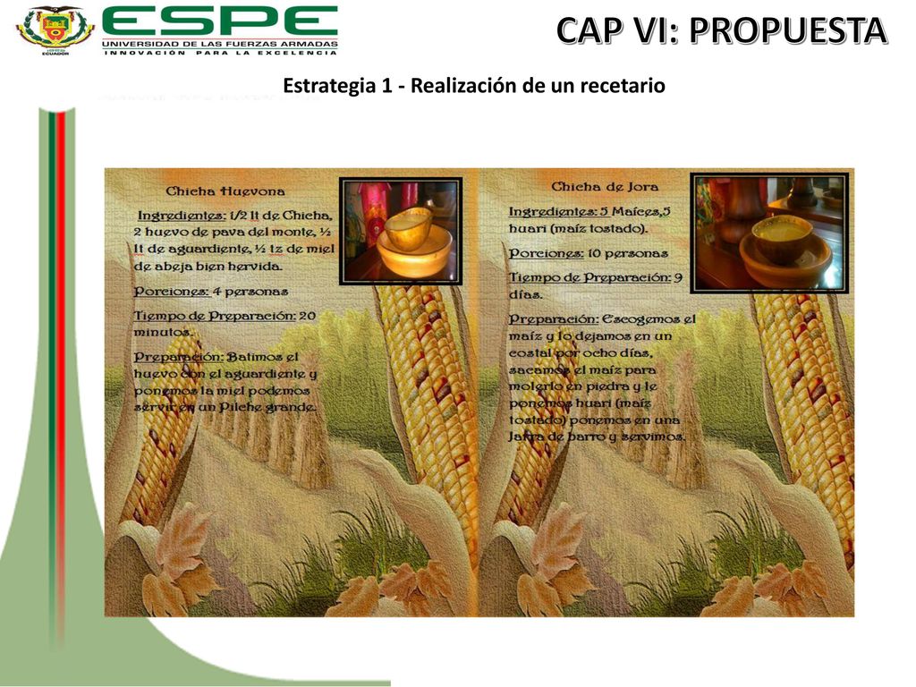 CAP VI: PROPUESTA Estrategia 1 - Realización de un recetario