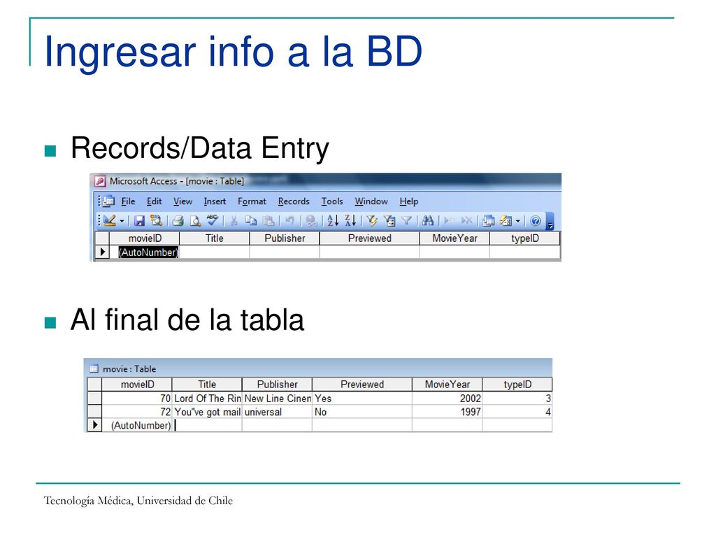 Ingresar info a la BD Records/Data Entry Al final de la tabla